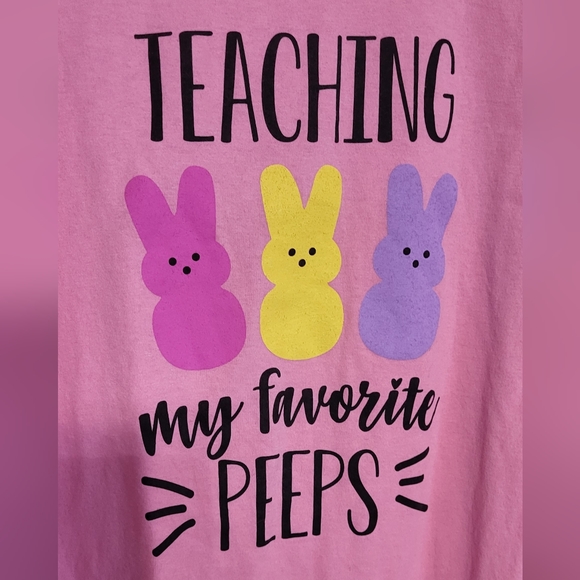 Port & Company Pink "Teaching My Favorite Peeps" Graphic SS T-Shirt Size 3XL - Picture 5 of 7